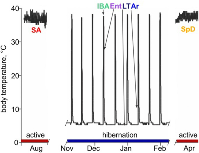 FIGURE 1