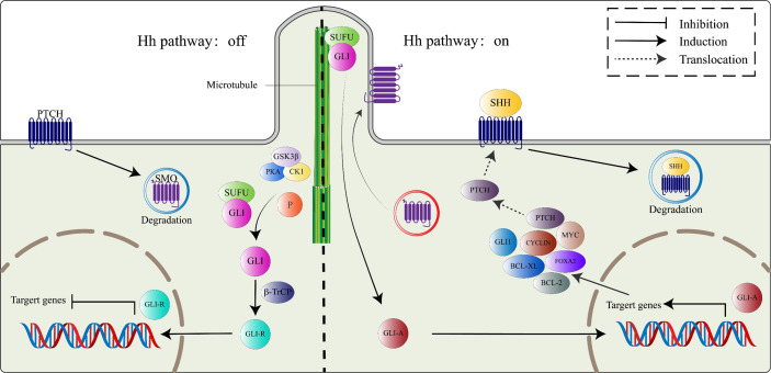 Figure 1