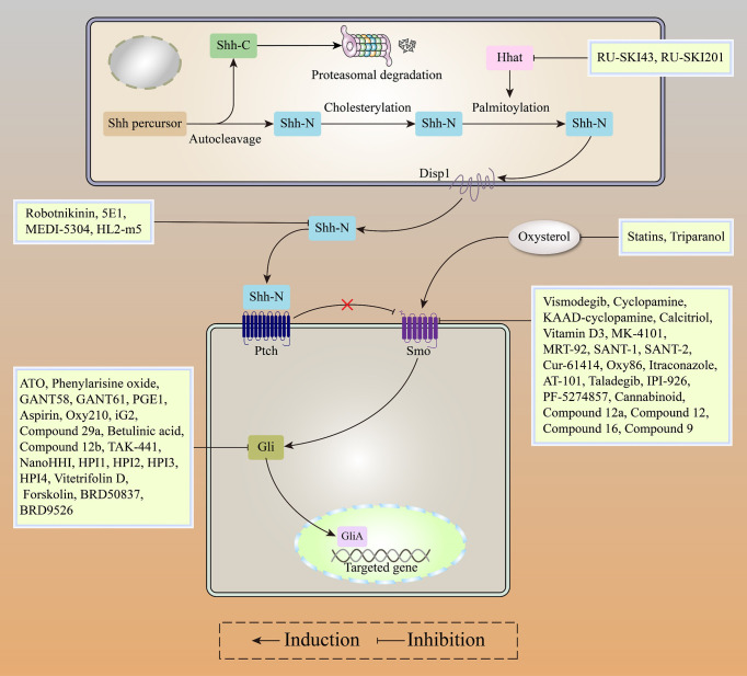 Figure 5