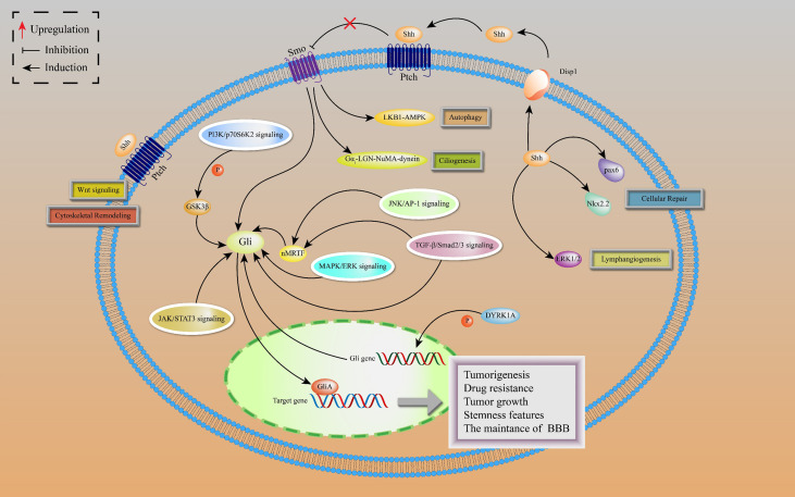 Figure 2