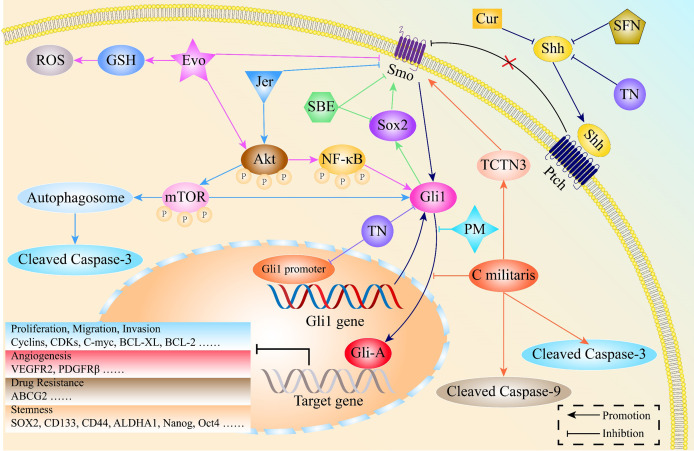 Figure 6