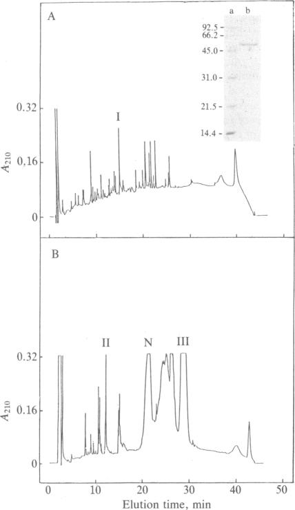 graphic file with name pnas00278-0026-a.jpg