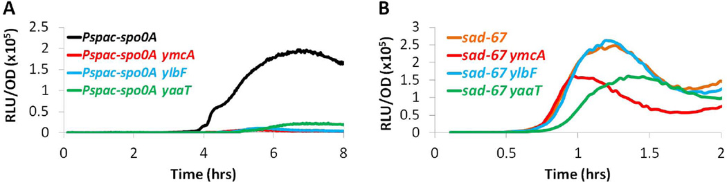 Figure 5