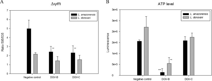 FIG 2