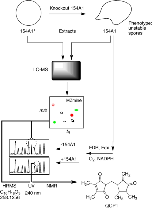 Fig. 4.