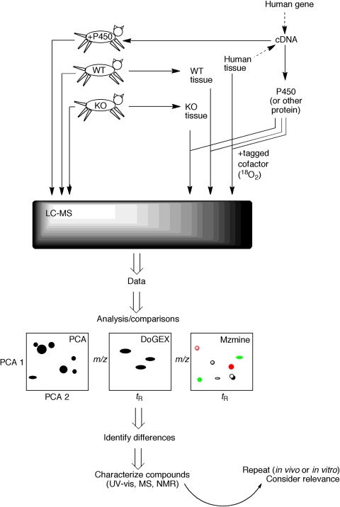 Fig. 2.