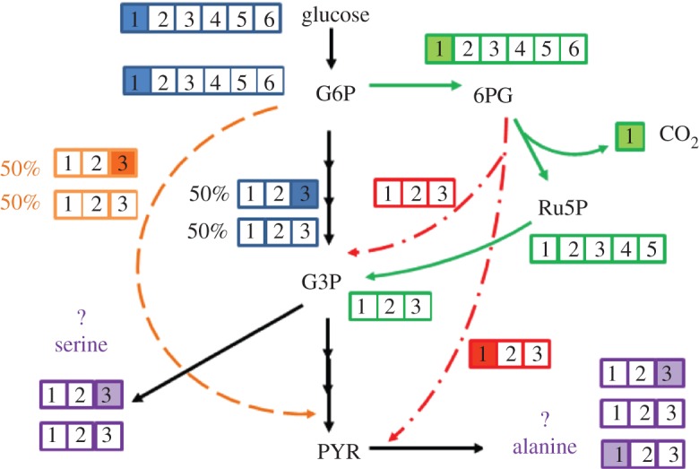 Figure 3.