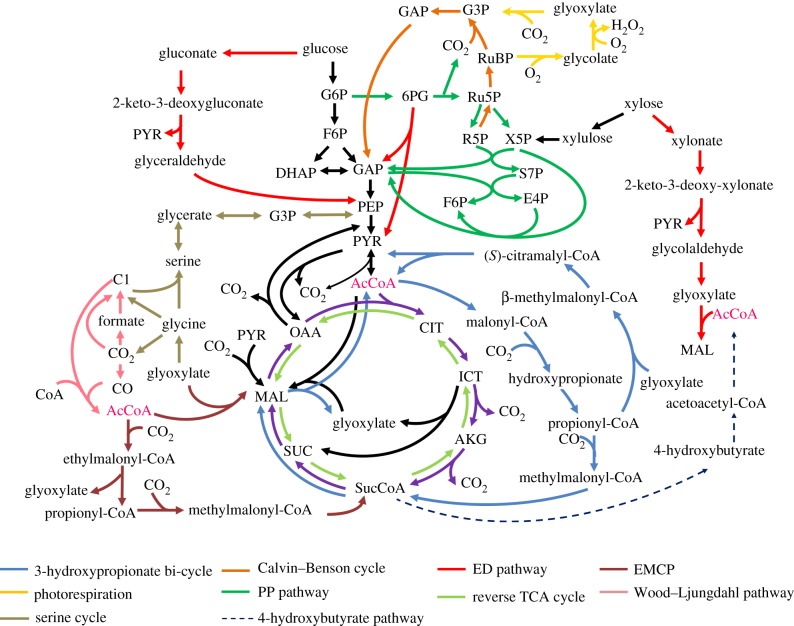 Figure 2.