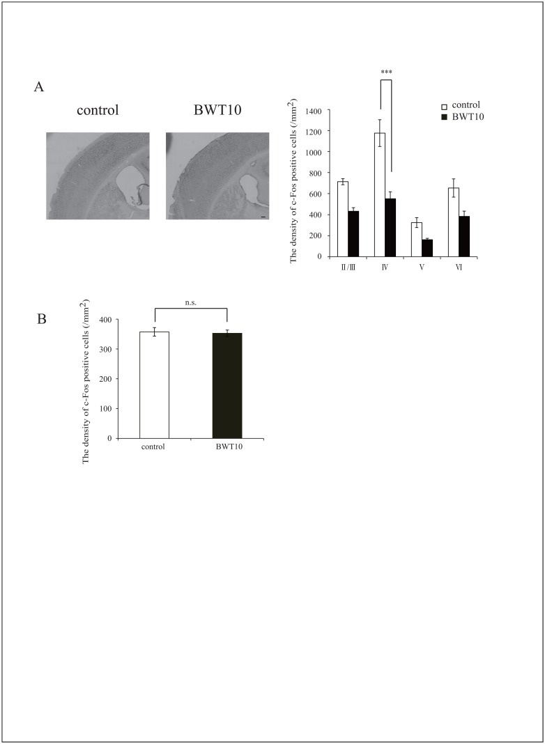 Fig 5