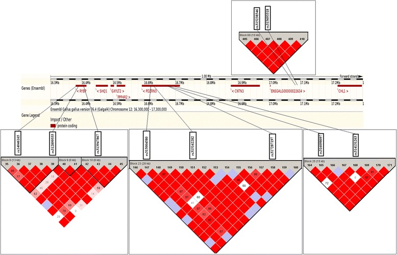 Fig. 4