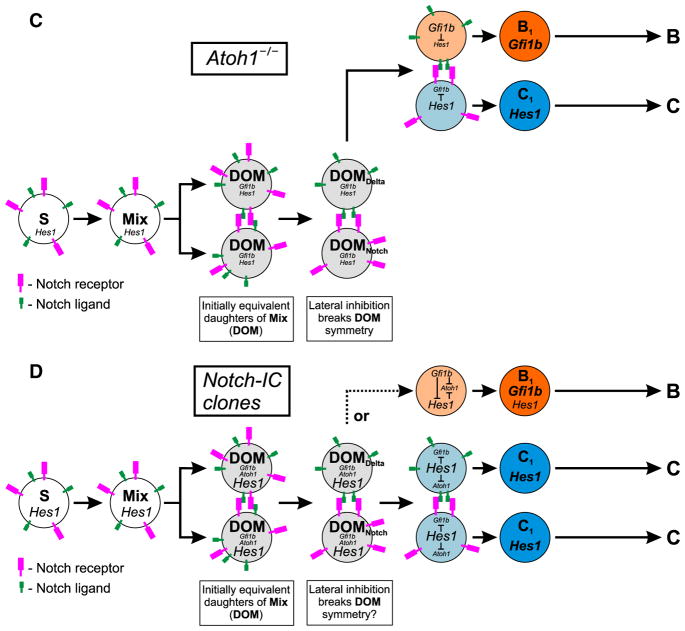 Fig. 22