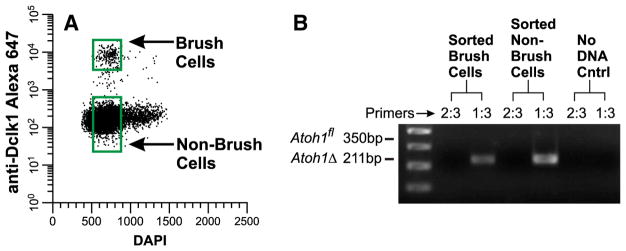 Fig. 20