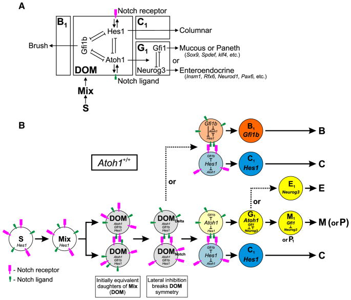 Fig. 22