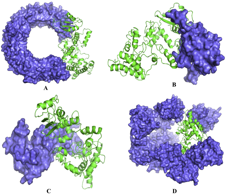 Figure 7