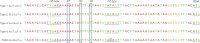 Figure 1—figure supplement 2.