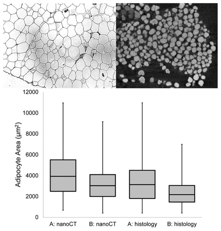 Figure 14