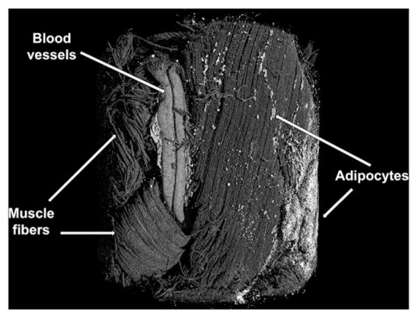 Figure 15