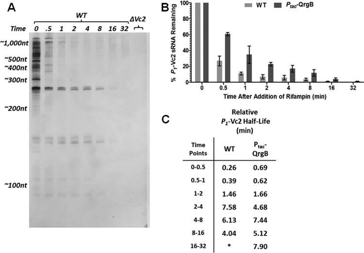 FIG 6