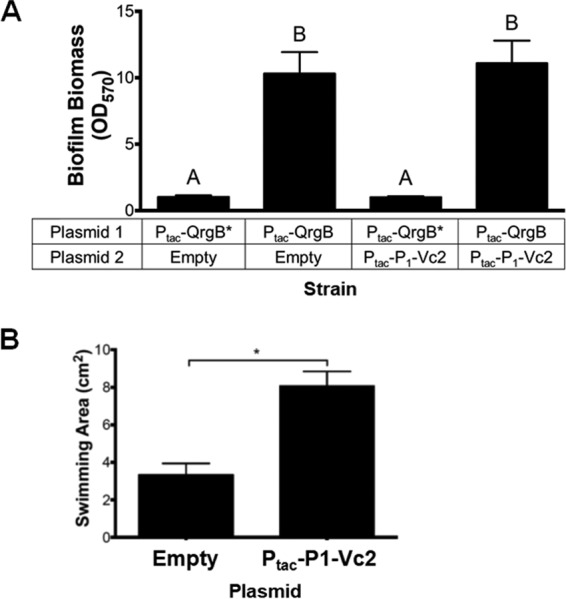 FIG 7