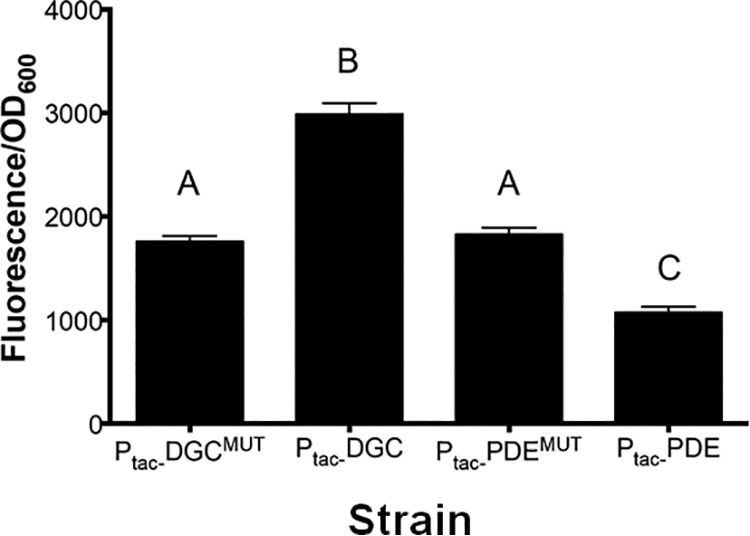 FIG 5