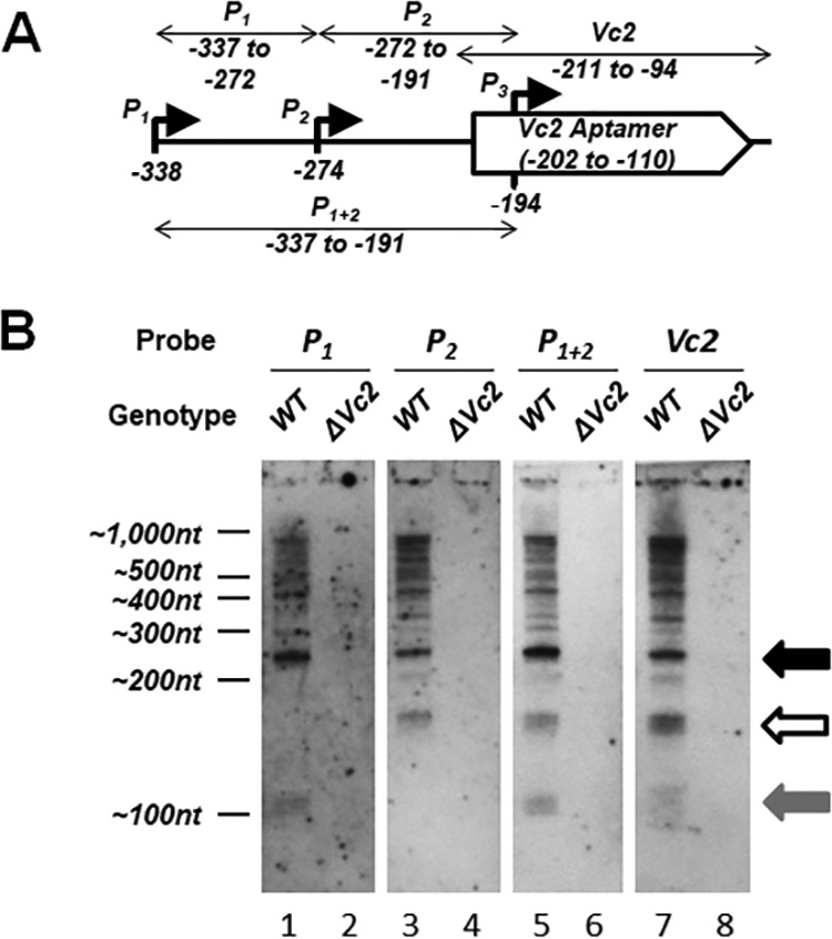 FIG 2