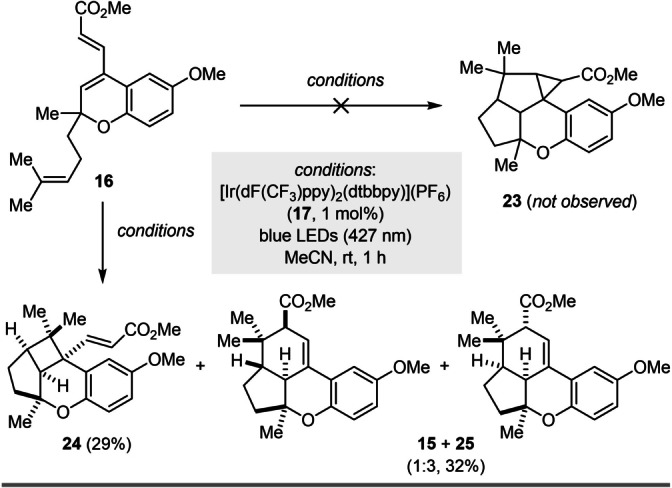 Scheme 4