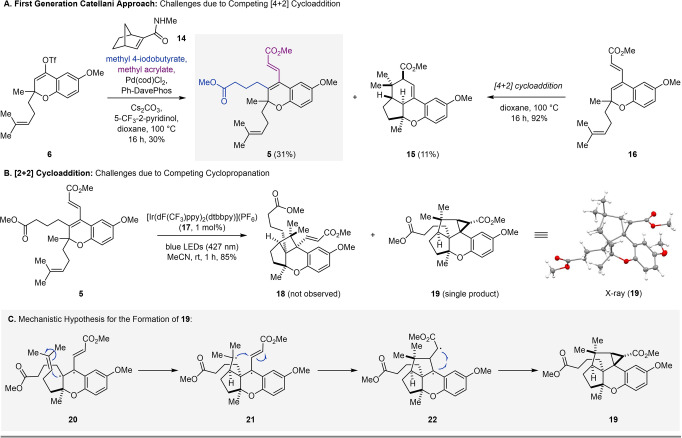 Scheme 3