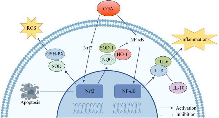 Fig. 7.