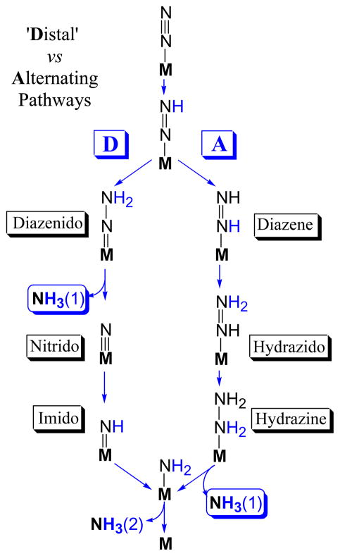 Scheme 1