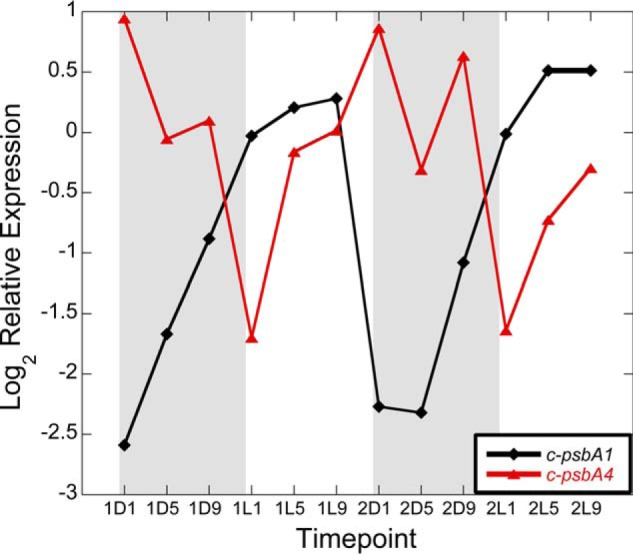 FIGURE 2.