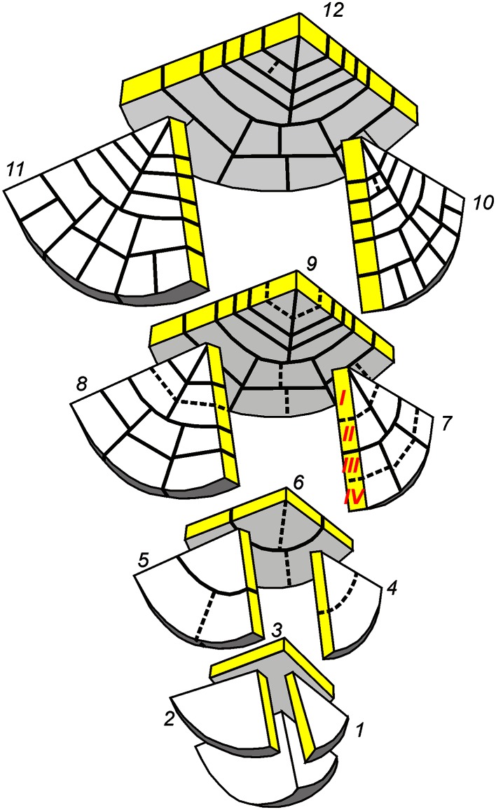 Fig. 1