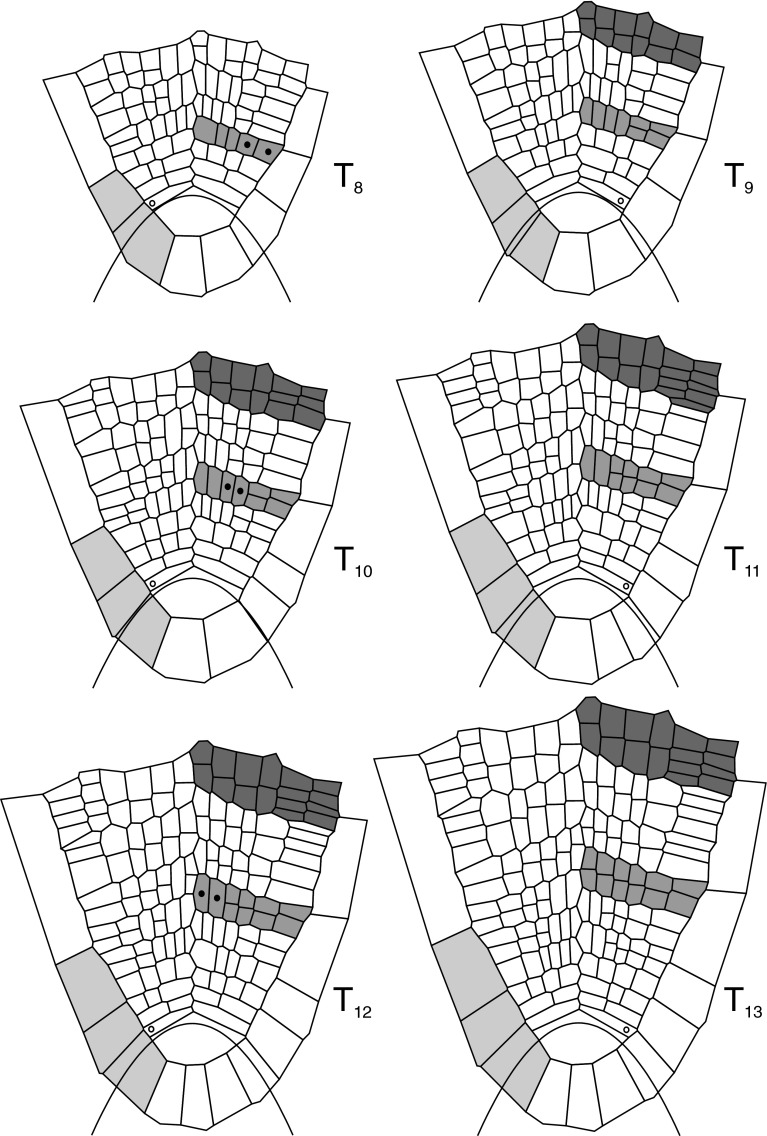 Fig. 8