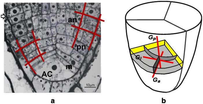 Fig. 2