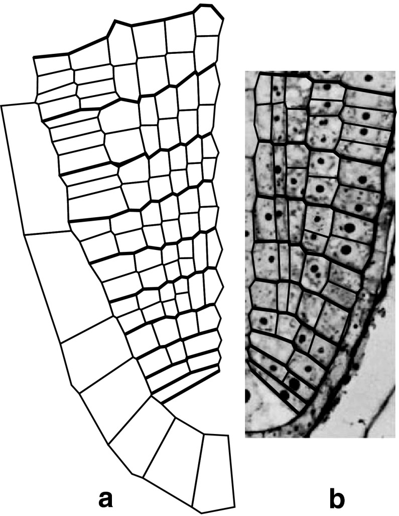 Fig. 9