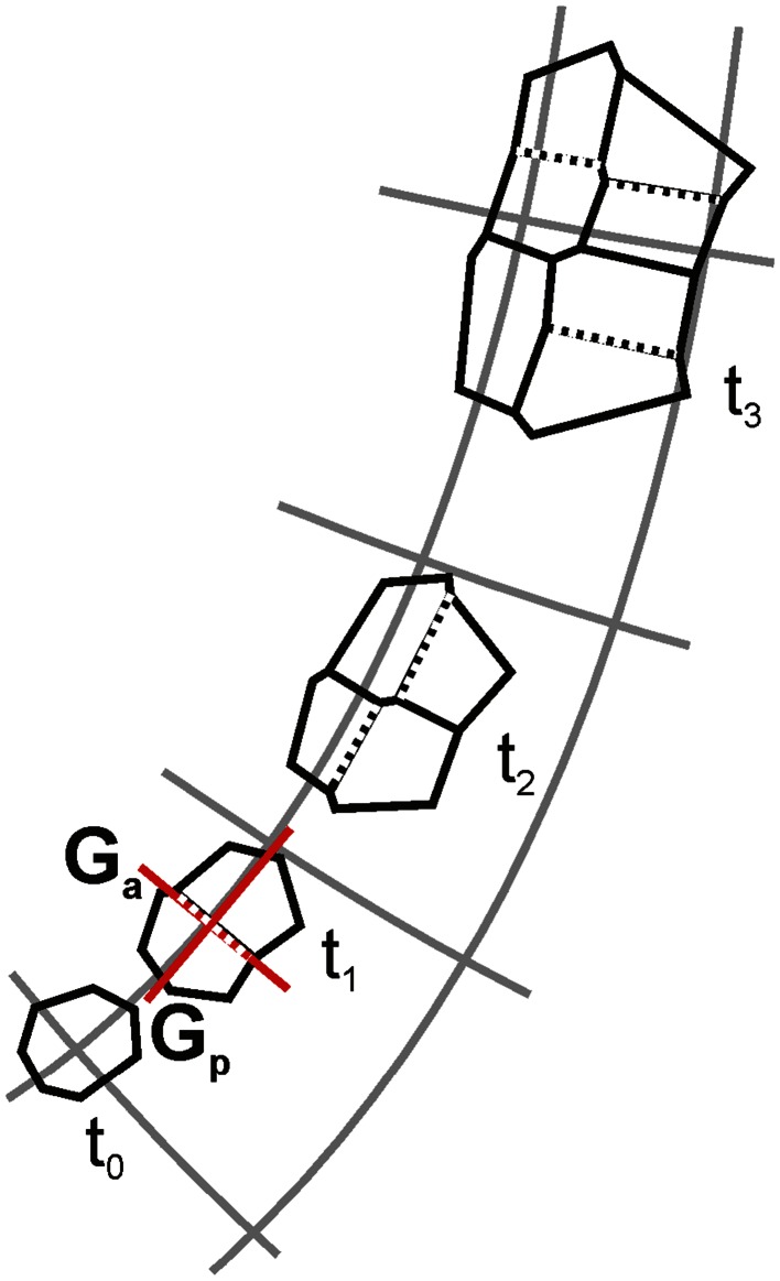 Fig. 3