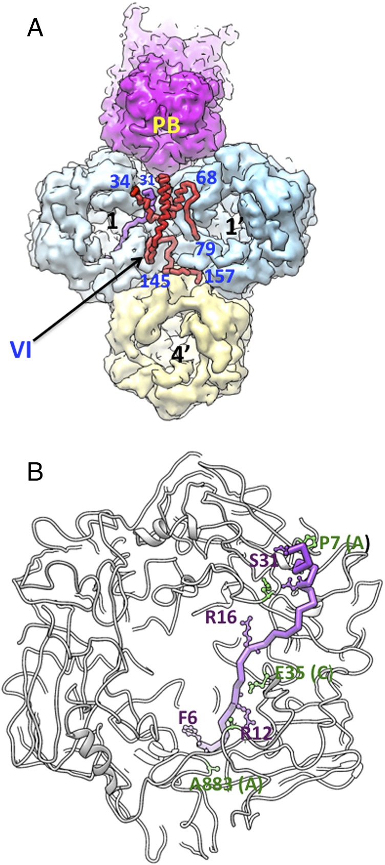 Fig. 4.