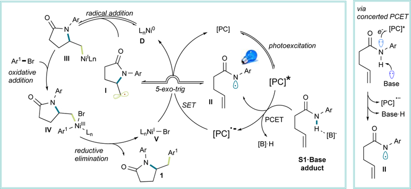 Scheme 3.