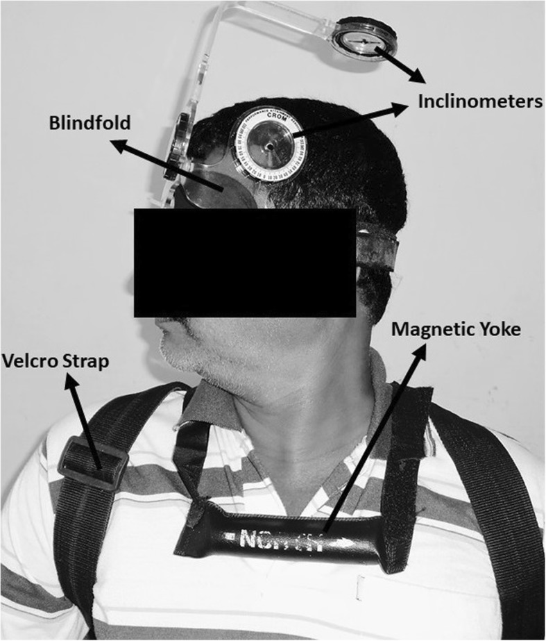 Fig. 1