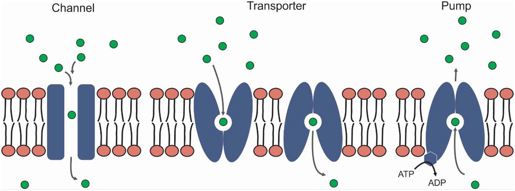 Figure I (in Box 1).