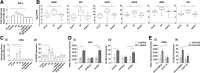 Figure 3. Innate immune response to Pexa-Vec. A, Peripheral blood plasma IFNα concentration following Pexa-Vec infusion was determined by multiplex analysis. Data are shown as fold change from baseline [day (D)1 pre] samples. *, P < 0.05 by paired t tests; n = 4. B, Differential ISG expression analysis of mRNA isolated from CRLM trial patient PBMCs at D1 pre, D2, and surgery. Data are expressed as log2 (CPM). Padj value was determined after using the Benjamini and Hochberg (1995) method for controlling the FDR; *, P < 0.05; **, P < 0.01; n = 6. C, Patient PBMCs were collected at the indicated timepoints. Patient NK-cell activation was determined via (i) CD69 expression and (ii) NK degranulation against Mel888 cells (for patients with melanoma) or SW620 cells (for patients with CRLM) and shown as percent positive CD107 expression. *, P < 0.05 by paired t tests; n = 9 for both. D, NK-cell activation (CD69 expression) (i) and NK degranulation (ii) of healthy donor PBMCs following stimulation with Pexa-Vec in the presence of IFNα/β blockade or isotype control. *, P < 0.05 by unpaired t tests; n = 4. E, NK-cell activation (i) and degranulation (ii) of healthy donor PBMCs ± monocyte depletion (CD14−) prior to stimulation with Pexa-Vec. *, P < 0.05 by unpaired t tests; n = 4. All data are shown as mean ± SEM.