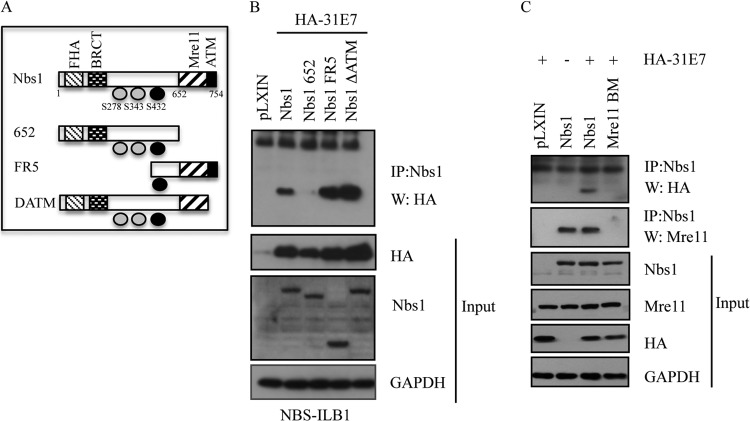 FIG 3