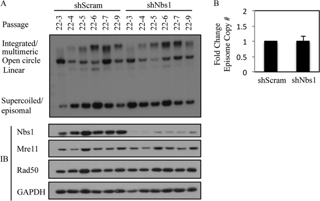 FIG 5