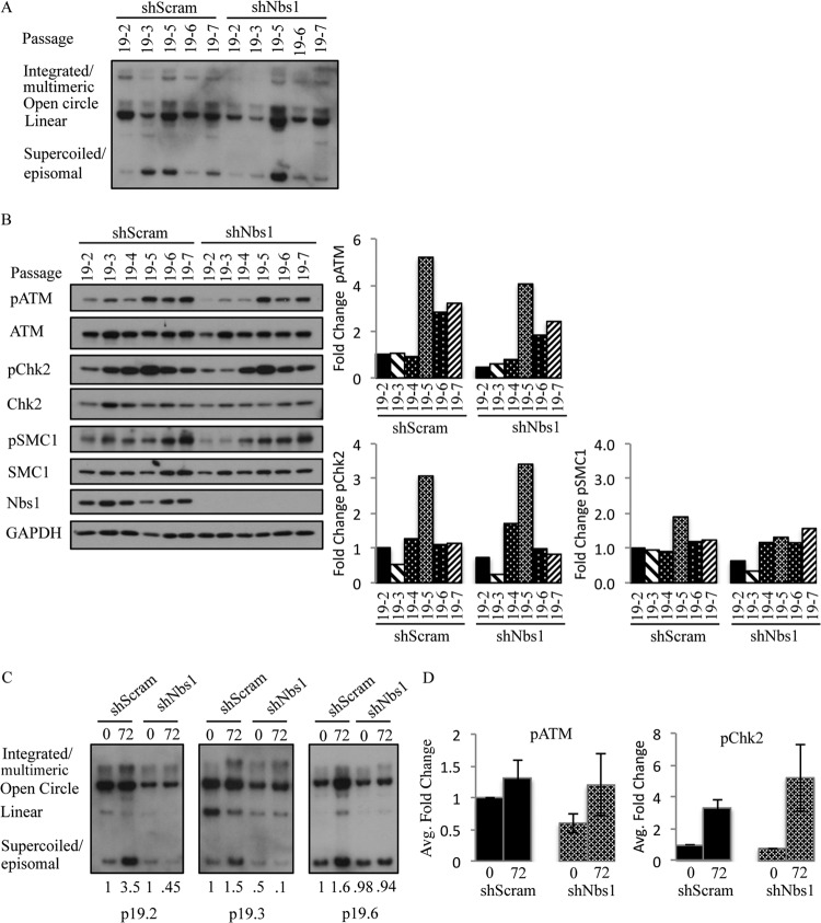 FIG 12