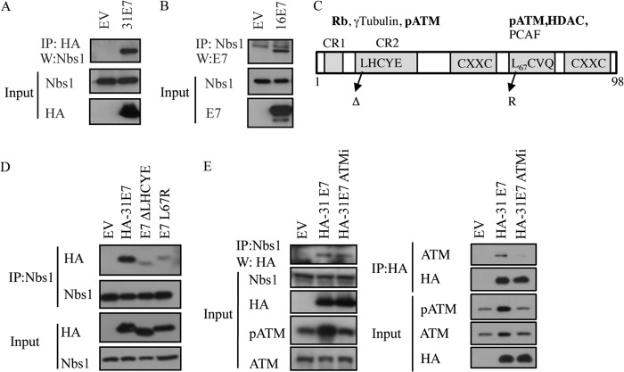 FIG 2