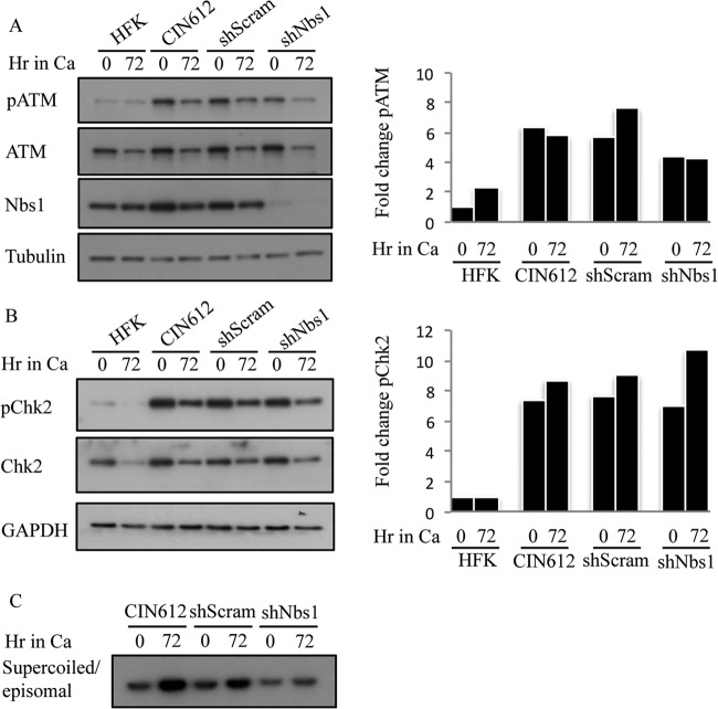 FIG 11