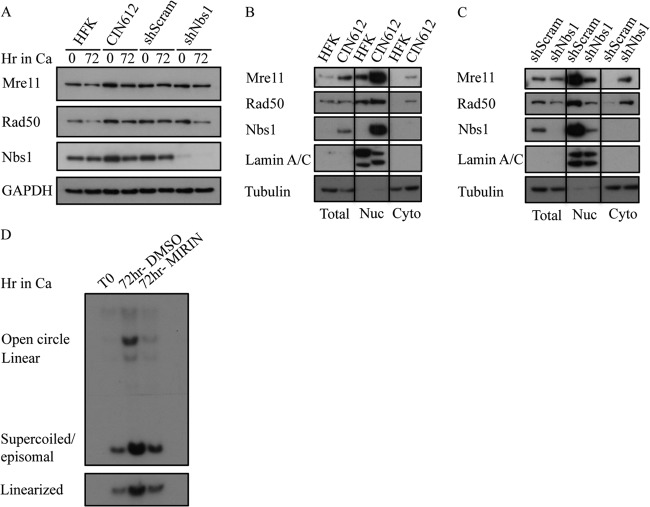 FIG 8