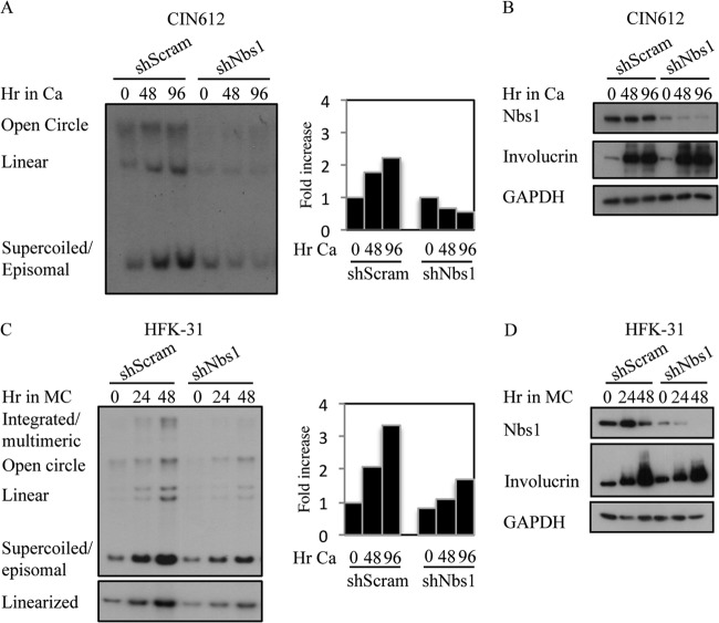 FIG 6