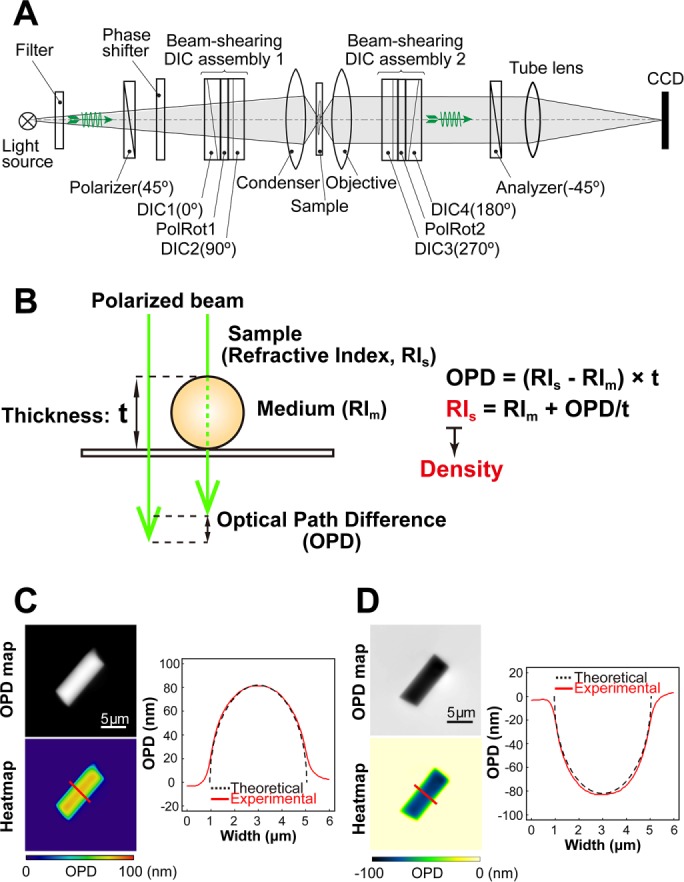 FIGURE 1: