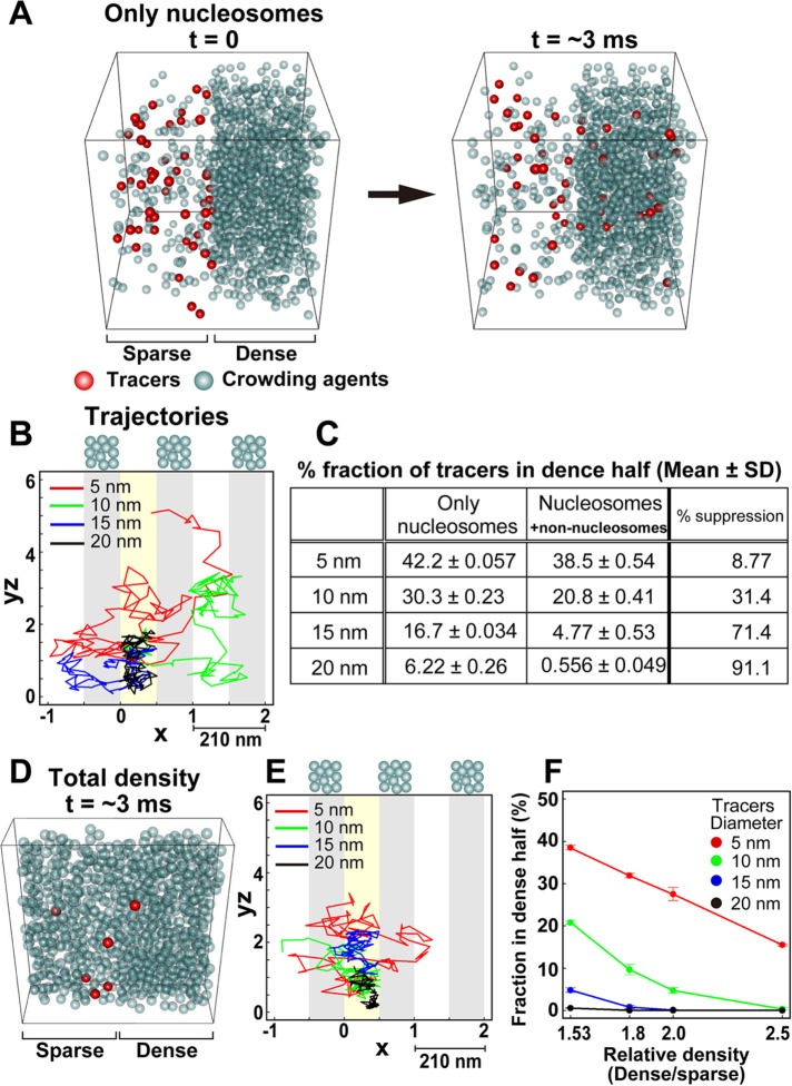 FIGURE 5: