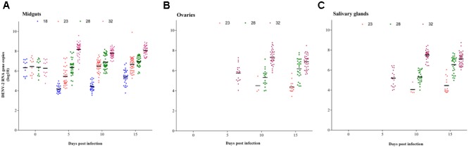 FIGURE 3